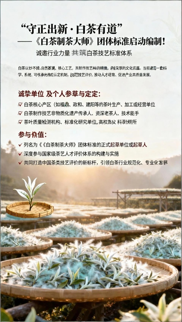 白茶 团准_600.jpg