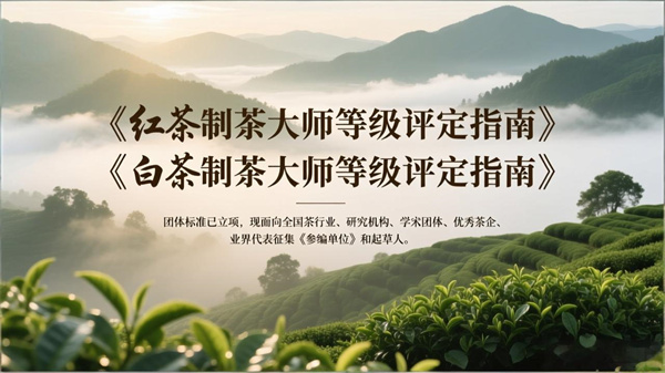 制茶大师 (1).jpg