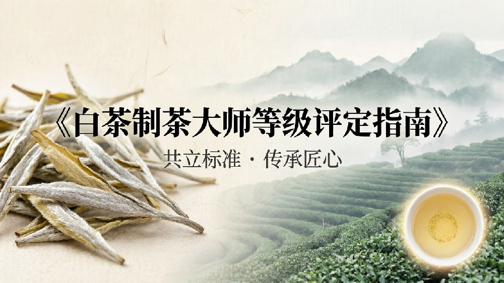 标准领航，抢占先机！欢迎加入“白茶制茶大师等级评定”团标制定起草单位