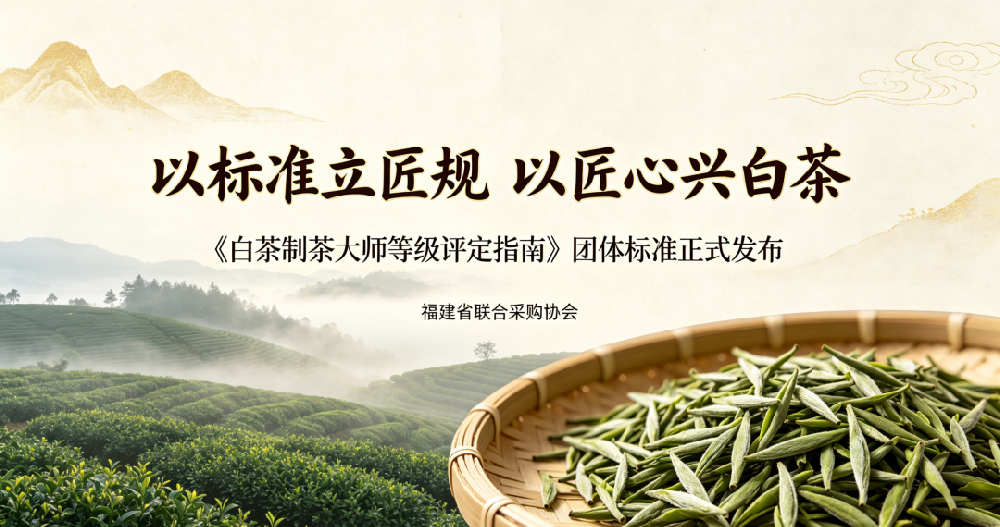 祝贺白茶制茶大师等级评定团标发布实施，填补国内白茶领域制茶评价空白